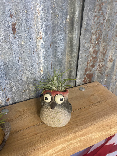 Toy Store «Great Turtle Toys», reviews and photos, Main St, Mackinac Island, MI 49757, USA