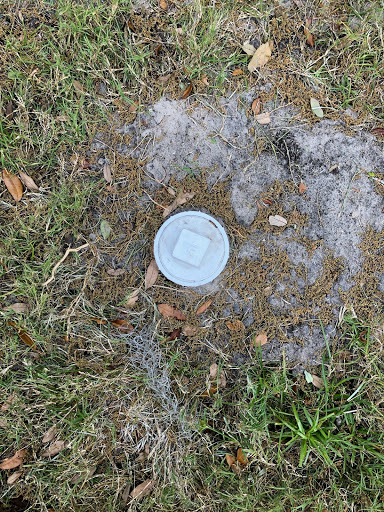 Plumber «Roto-Rooter Plumbing & Drain Services», reviews and photos, 2028 W 21st St, Jacksonville, FL 32209, USA