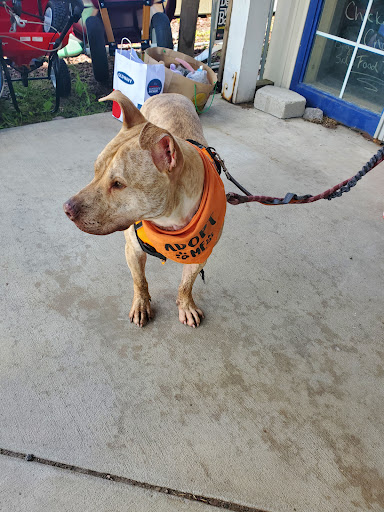 Pet Supply Store «Rosedale Mills», reviews and photos, 101 NJ-31, Pennington, NJ 08534, USA