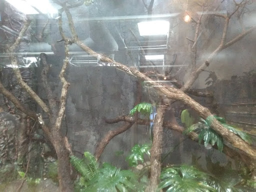 Pet Store «Lost Realms Pets», reviews and photos, 8059 N Cedar Ave, Fresno, CA 93720, USA