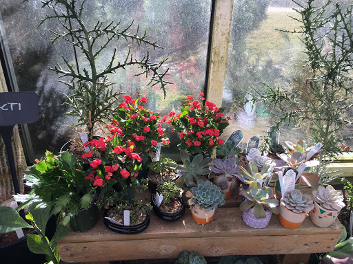 Plant Nursery «Sturtz & Copeland Florist & Greenhouses», reviews and photos, 2851 Valmont Rd, Boulder, CO 80301, USA