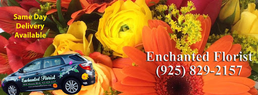 Florist «Enchanted Florist & Gifts», reviews and photos, 9140 Alcosta Blvd B, San Ramon, CA 94583, USA