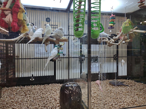 Pet Supply Store «PetSmart», reviews and photos, 2101 NJ-35, Holmdel, NJ 07733, USA