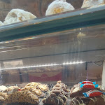 Photo n°7 de l'avis de Elisa.a fait le 01/08/2023 à 07:56 sur le  Caffe Lucá à Palermo