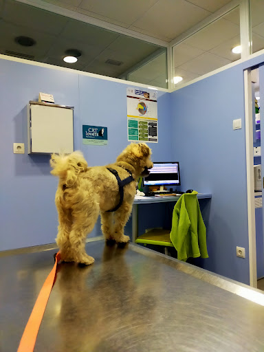 Clínica Veterinaria Mascots (Veteralia) en Sant Celoni