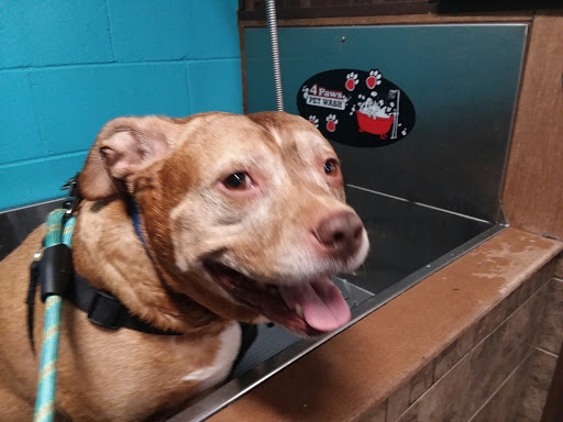 Pet Supply Store «Pet Food Plus», reviews and photos, 2819 E Hamilton Ave, Eau Claire, WI 54701, USA