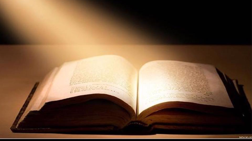 Explore cubs tattoo ideas, creative tattoo ideas in Wake Forest, available at Revelation Ink Tattoo and Piercing