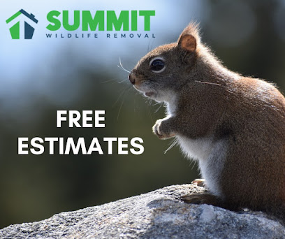 Summit Wildlife Removal