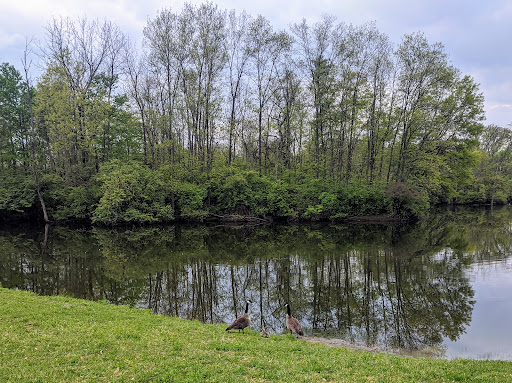 Community Center «Mason Community Center», reviews and photos, 6050 Mason Montgomery Rd, Mason, OH 45040, USA