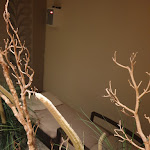 Photo n°2 de l'avis de Lushes.i fait le 03/10/2019 à 08:26 sur le  Hotel Orbtal Bad Orb im Spessart à Bad Orb