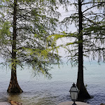 Photo n°2 de l'avis de Mario.u fait le 13/09/2019 à 16:17 sur le  Hotel Parco Al Lago à Sirmione