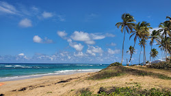 Playa Lava Cama'in fotoğrafı imkanlar alanı