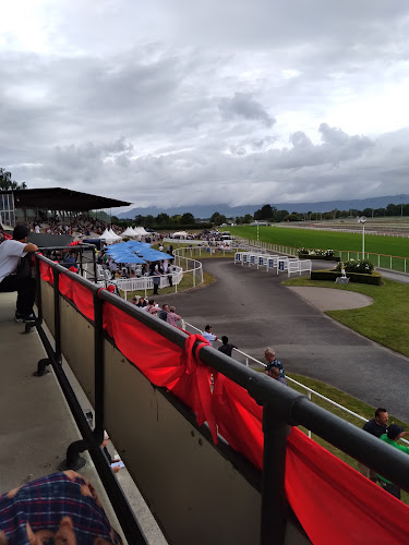 Reviews of Matamata Racing Club in Matamata - Sports Complex