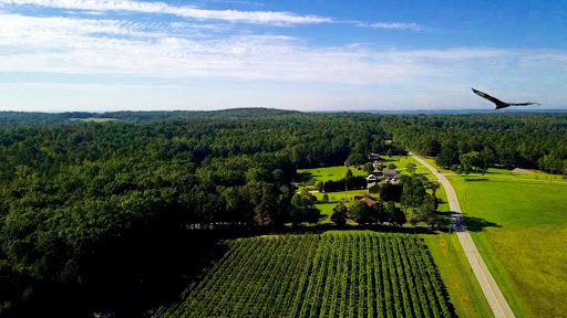 Winery «Little Vine Vineyards», reviews and photos, 665 N Hulett Rd, Villa Rica, GA 30180, USA