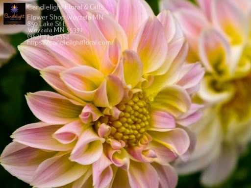 Florist «Candlelight Floral & Gifts», reviews and photos, 850 Lake St E, Wayzata, MN 55391, USA