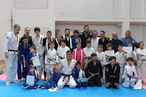 ZRTeam Viana do Castelo - Delfim Quintas (Jiu-Jitsu Brasileiro, BJJ) image