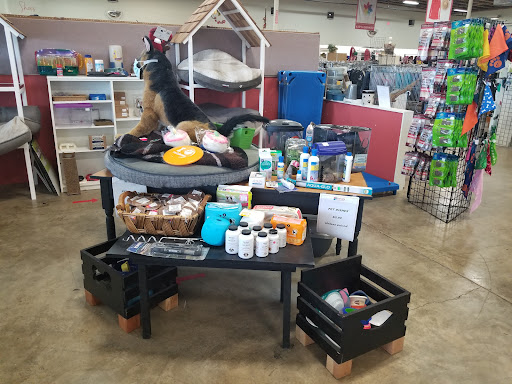 Thrift Store «ReTails Thrift Store», reviews and photos, 5000 NE Fourth Plain Blvd, Vancouver, WA 98661, USA