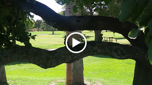 Park «Granada Park», reviews and photos, 6505 N 20th St, Phoenix, AZ 85016, USA