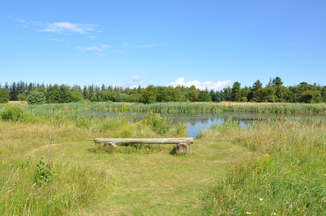 Skagen Strand - Dit feriecenter i Nordjylland - Gode oplevelser, ferieboliger og badeland - Eventbureau