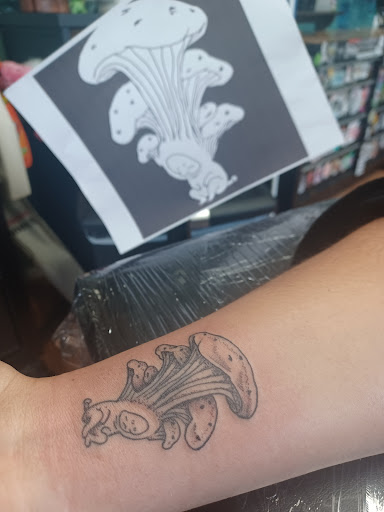 Tattoo Shop «Drop Dead Tattoo LLC», reviews and photos, 39065 Center Ridge Rd, North Ridgeville, OH 44039, USA