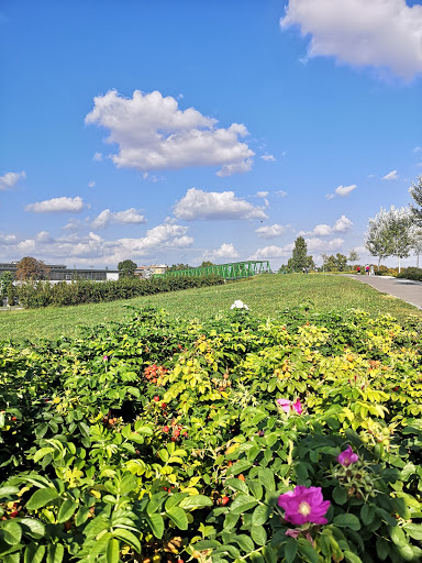 Parco Nord Milano