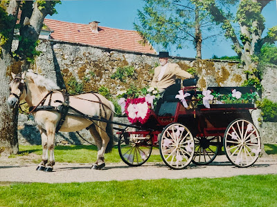 Au Rythme des Poneys à Villeneuve-sur-Bellot