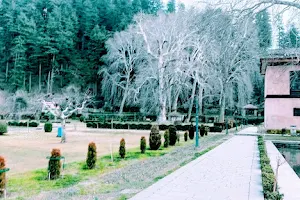 Mughal Garden Achabal, (Anantnag) image