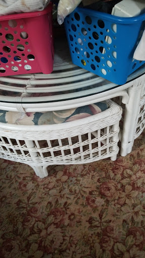 Dollar Store «Dollar Tree», reviews and photos, 2099 Philadelphia Pike, Claymont, DE 19703, USA