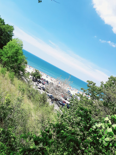 Hiking Area «Cowles Bog Trail», reviews and photos, 1618 N Mineral Springs Rd, Dune Acres, IN 46304, USA