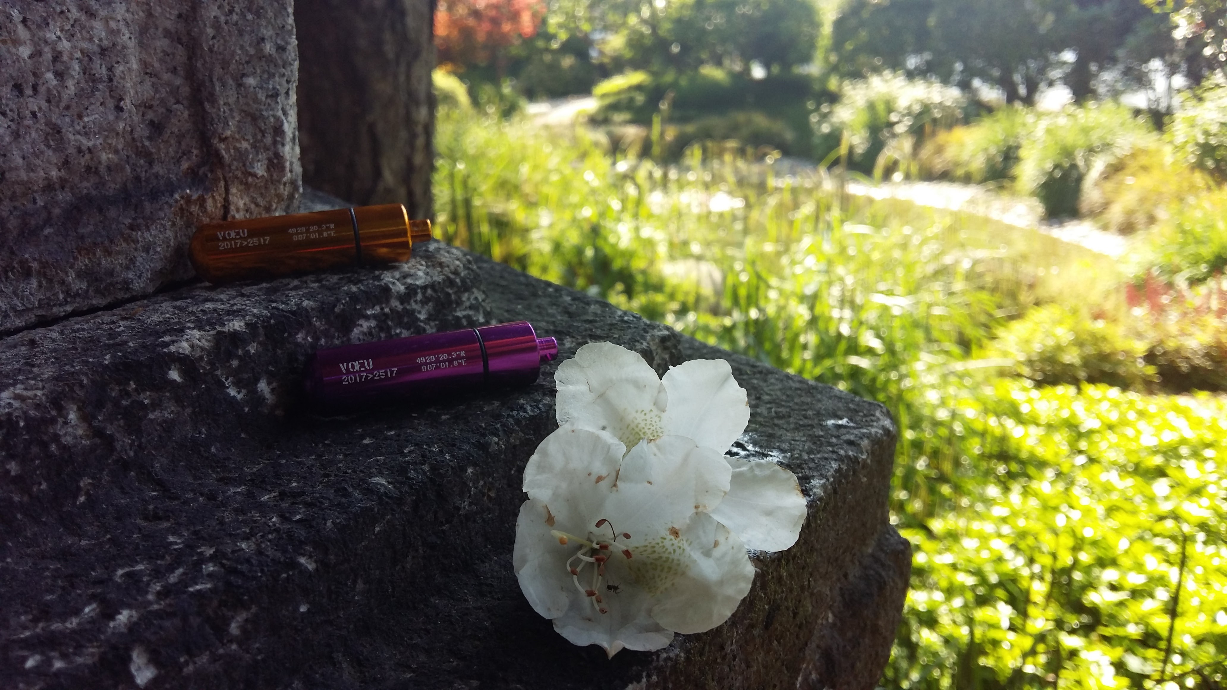Photo n° 6 de l'avis de Claudia.e fait le 20/06/2017 à 06:40
