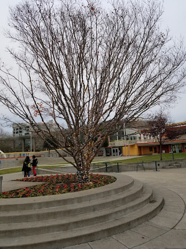 Ice Skating Rink «Yerba Buena Ice Skating & Bowling Center», reviews and photos, 750 Folsom St, San Francisco, CA 94107, USA