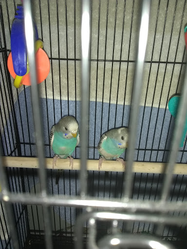 Pet Supply Store «Petco Animal Supplies», reviews and photos, 200 Edwards Blvd b, Lake Geneva, WI 53147, USA