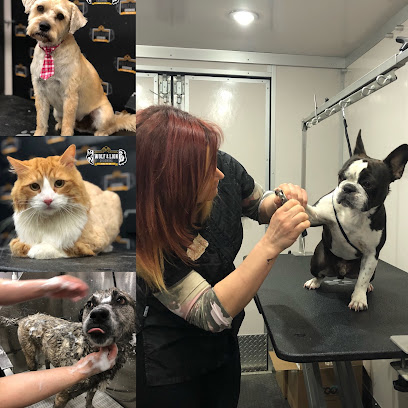 Wolf & Lion Grooming - Mobile Pet Spa
