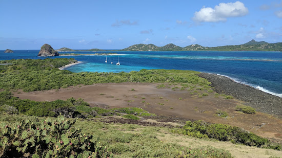 Saline Island beach
