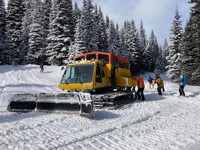 Cariboo Snowcat Skiing & Tours Ltd.
