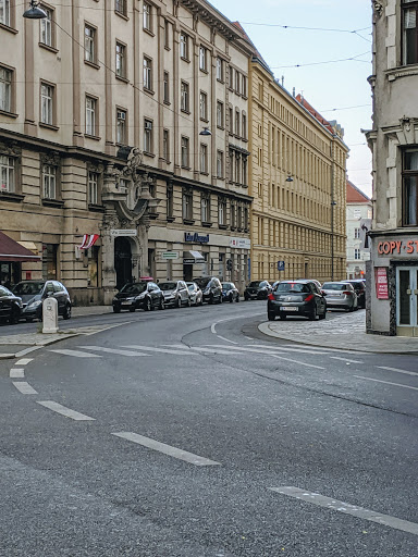 Ärzte für Immunologie Vienna