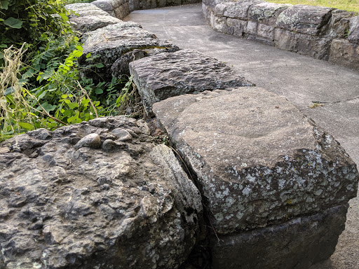 Golf Course «William J. Devine Golf Course at Franklin Park», reviews and photos, 1 Circuit Dr, Dorchester, MA 02121, USA