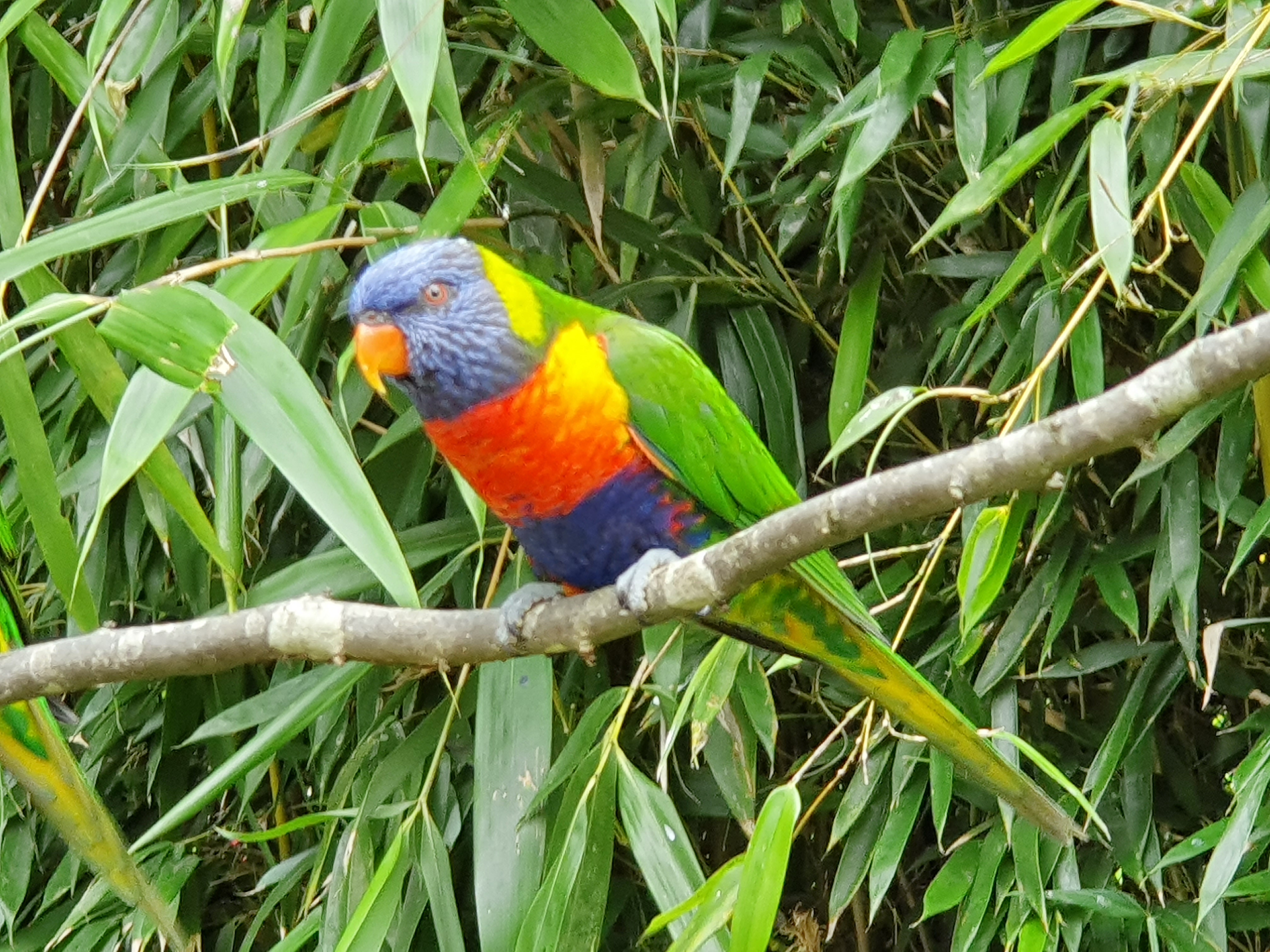 Photo n° 3 de l'avis de joel.e fait le 20/08/2021 à 20:39