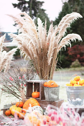 Plant Nursery «Pine Creek Nursery», reviews and photos, 23225 Sofie Rd, Monroe, WA 98272, USA