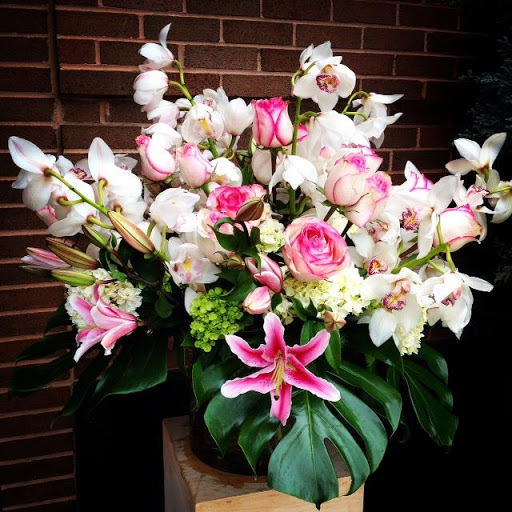 Florist «Allan Woods Flowers», reviews and photos, 2645 Connecticut Ave NW, Washington, DC 20008, USA