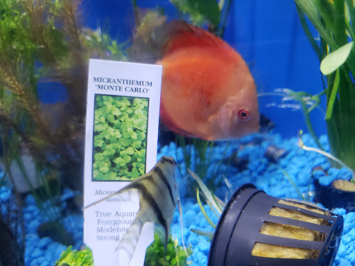 Pet Store «Pet Cove», reviews and photos, 820 E Center St, Kingsport, TN 37660, USA