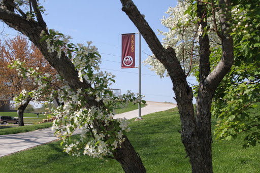 School «Chippewa Valley Technical College - Business Education Center», reviews and photos