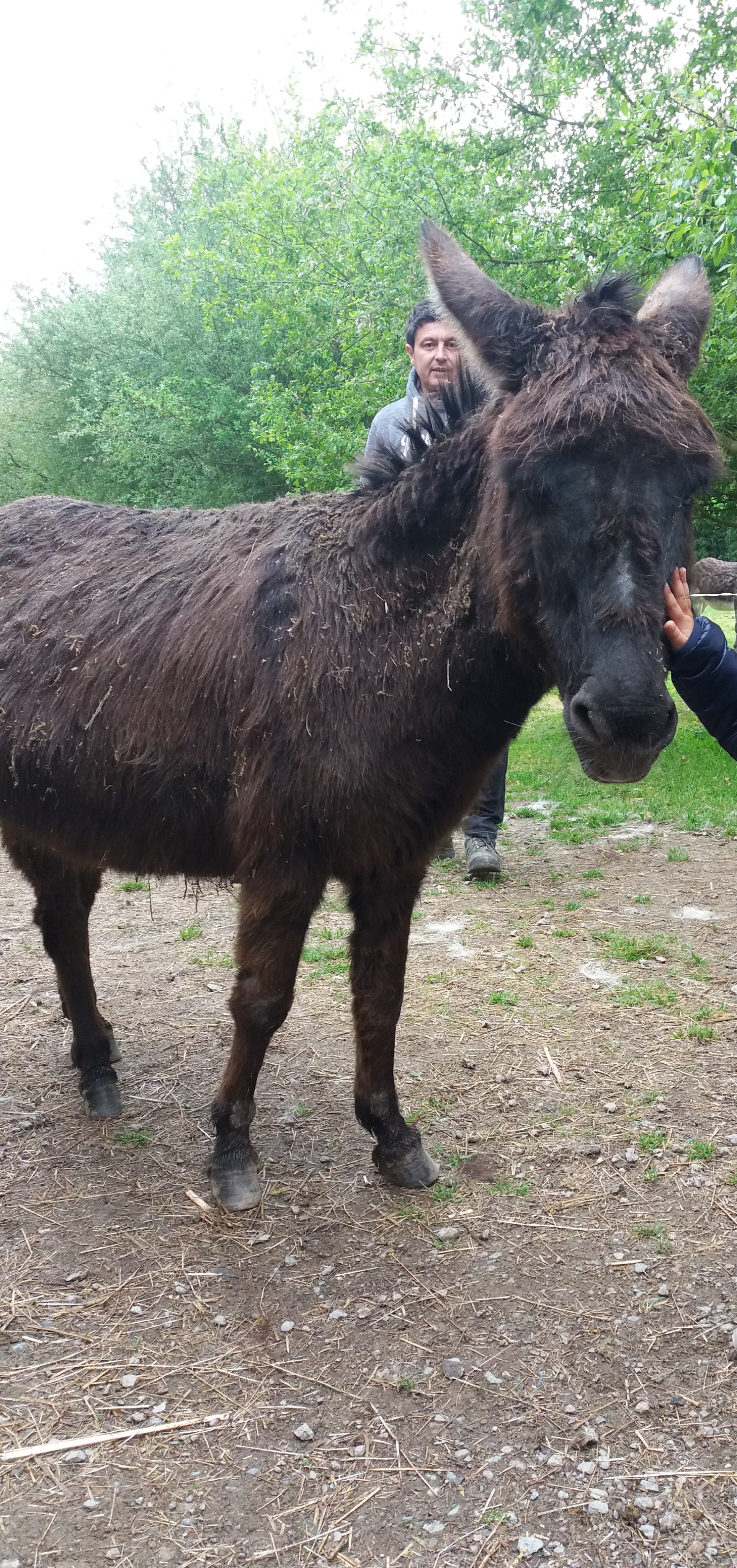 Photo n° 1 de l'avis de Helene.a fait le 24/04/2019 à 08:49