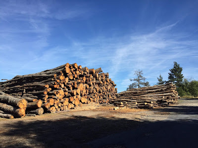 Entreprise De Reboisement Guy Travaux Gestion Forêts -Bois de chauffage Haute Loire Puy en Velay Brioude à Pébrac