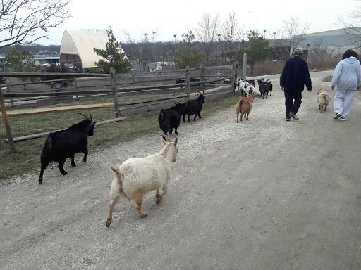 Golf Course «Merrick Golf Course», reviews and photos, 2550 Clubhouse Rd #1, Merrick, NY 11566, USA