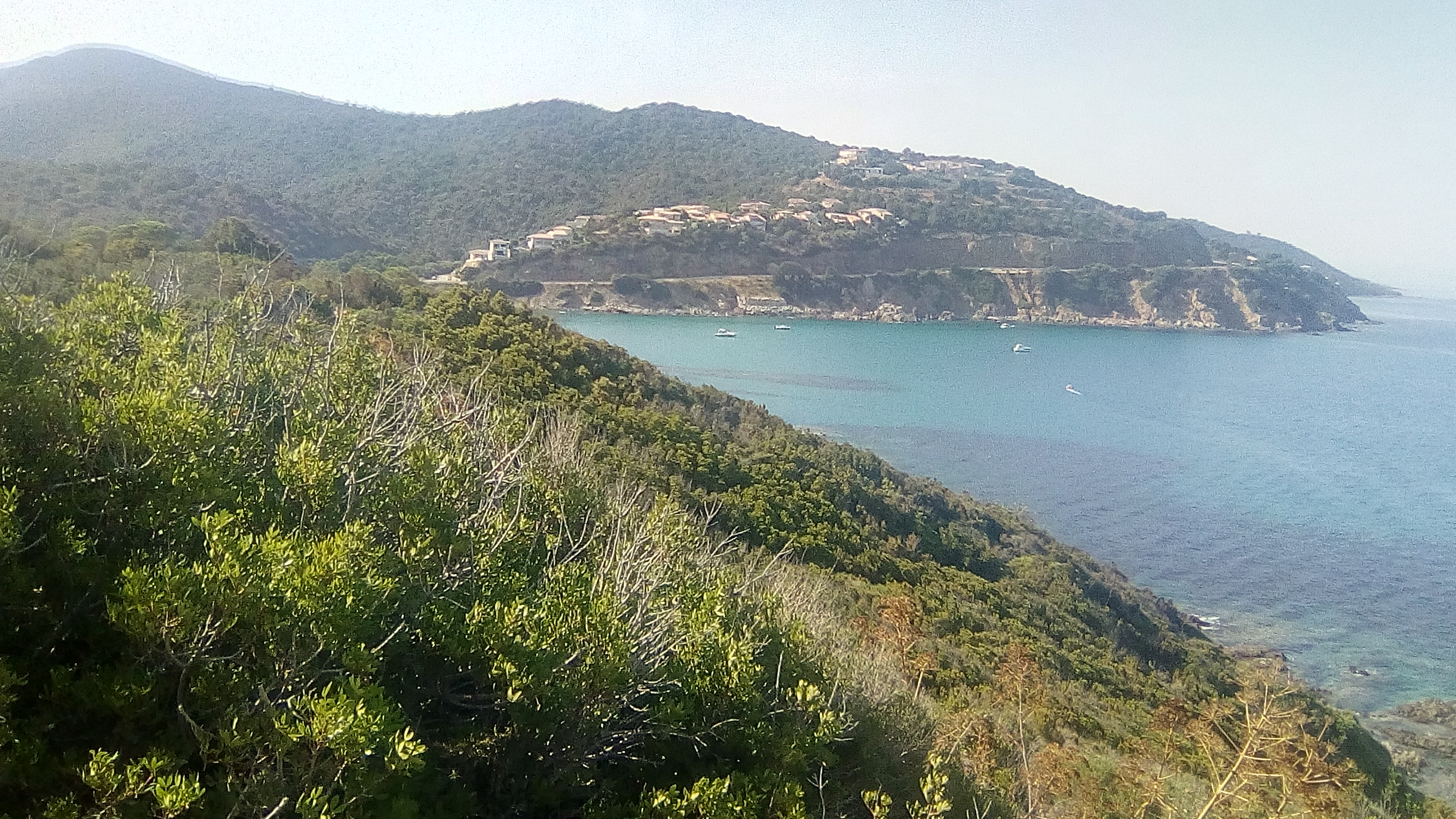 Photo n° 2 de l'avis de Alexis.e fait le 23/08/2017 à 20:00