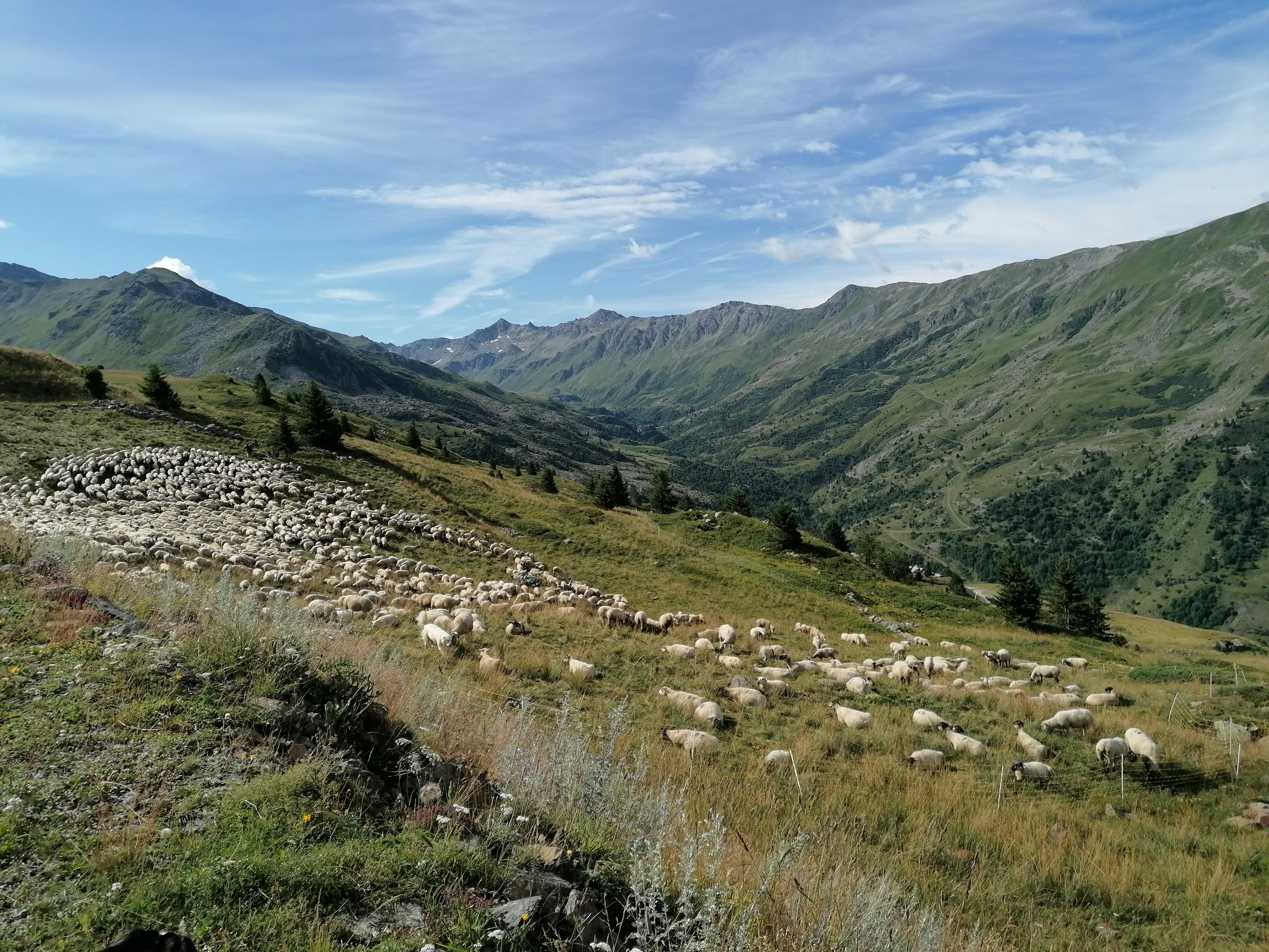 Photo n° 3 de l'avis de Patrick.y fait le 10/08/2021 à 10:40