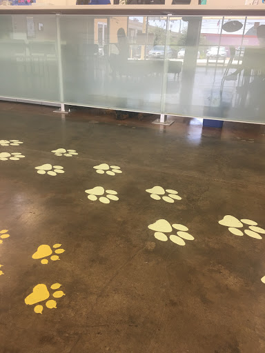 Animal Shelter «Humane Society of El Paso», reviews and photos