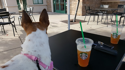 Starbucks image