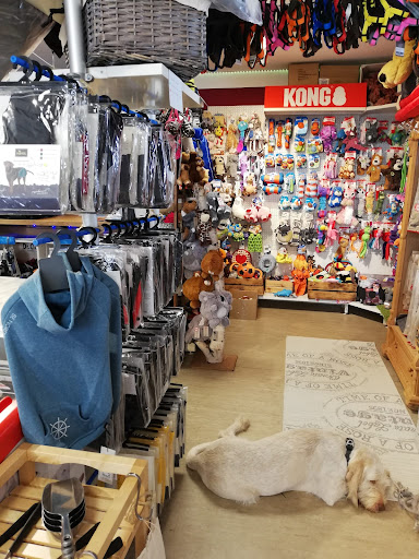 Deichhund-Hundeladen unter Neu-Isenburg, 